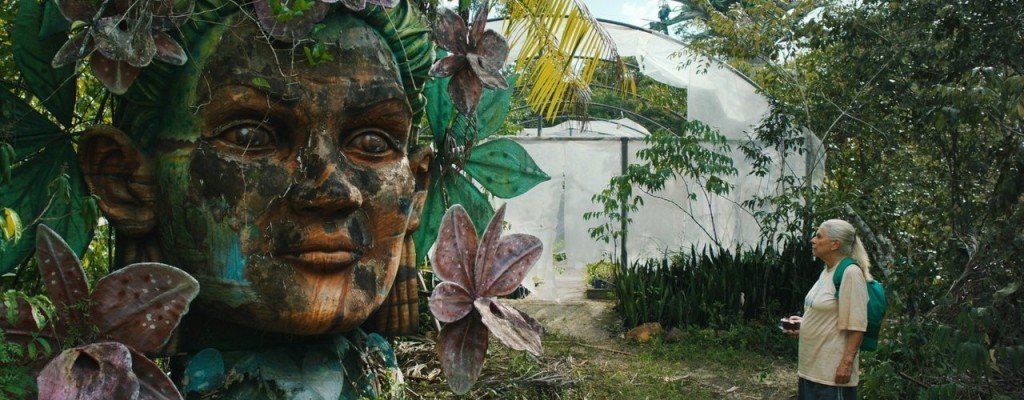 actualité LES VOYAGES DE TEREZA