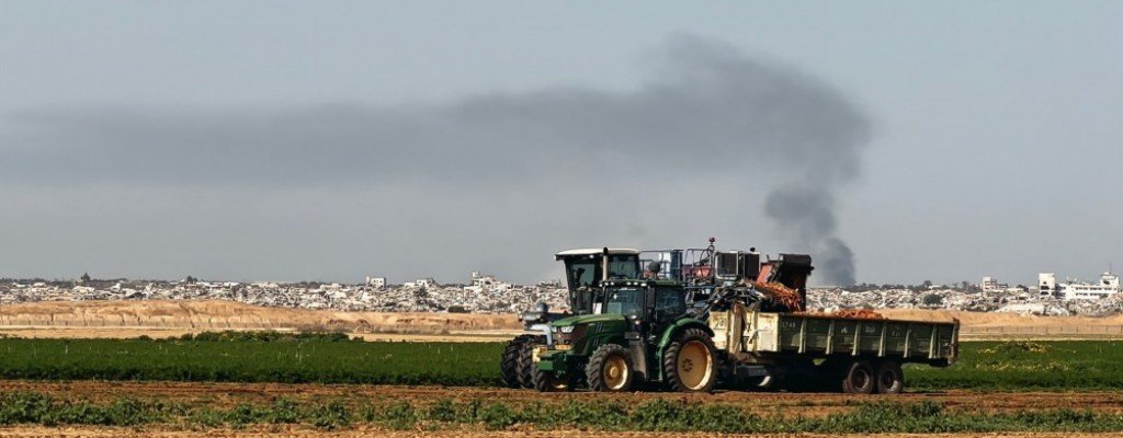 actualité COLLAPSE - (FACE À GAZA)