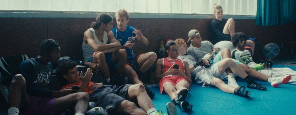 actualité LA DANSE DES RENARDS