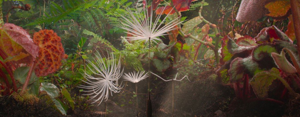 actualité PLANÈTES